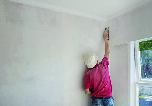 House Painters Auckland