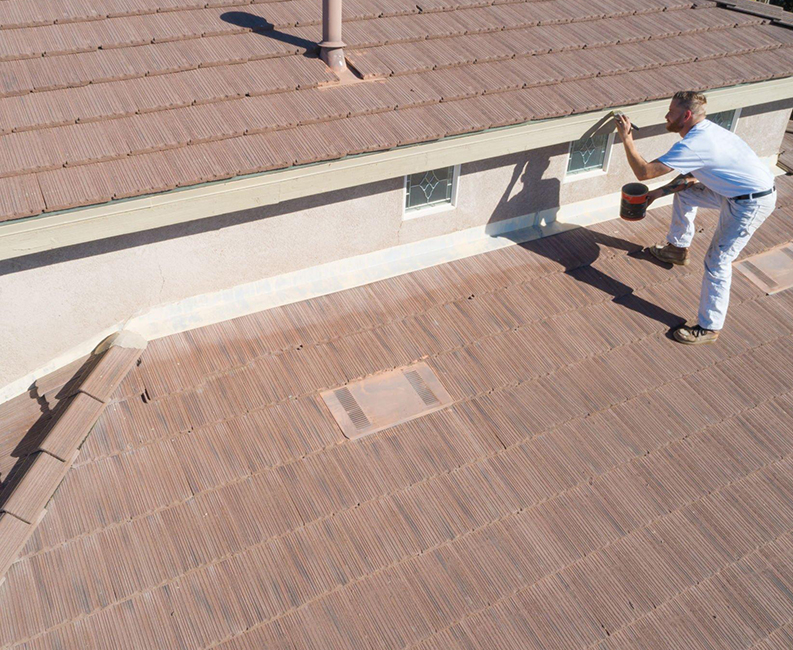 Roof Painting Auckland