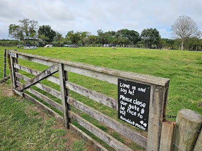 Ambury Regional Park