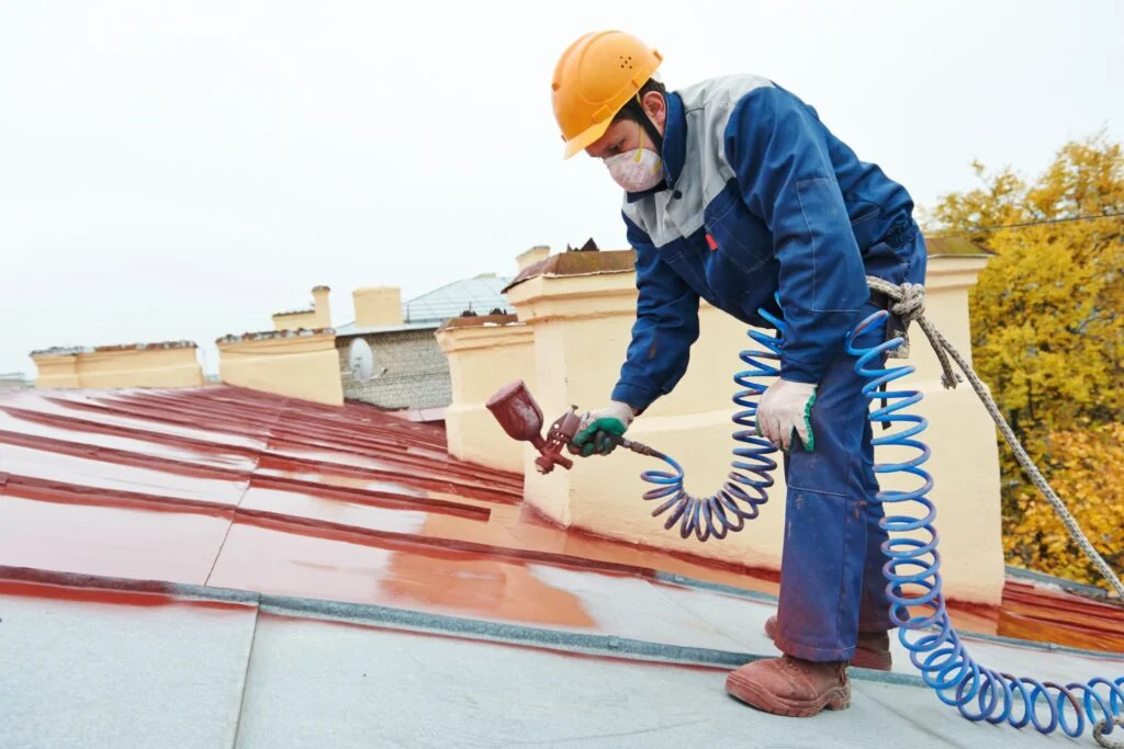 What is the Cost of Painting a Roof in New Zealand